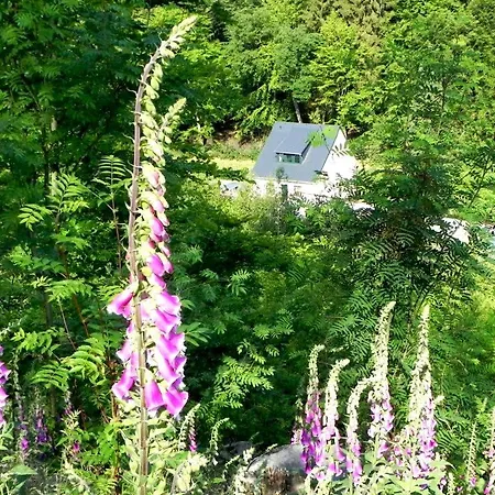 Buschmuehle - Stolpen