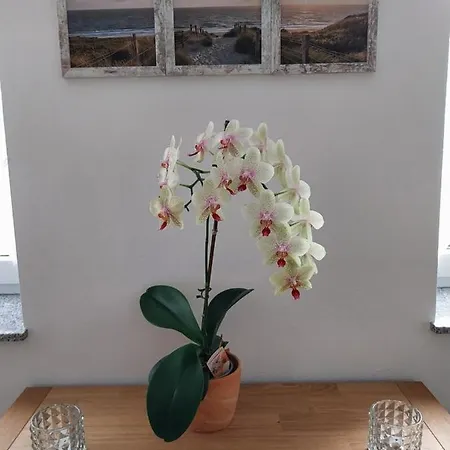 Buschmuehle - Casa vacanze Stolpen