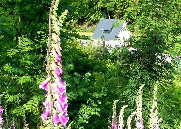 Buschmuehle - Stolpen